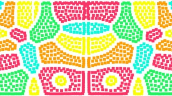 Particolo Color Sort Puzzle