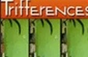 Trifferences Puzzle Game