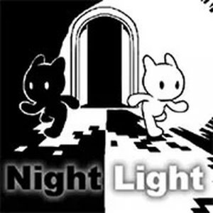 Dual Path Shadow Puzzle