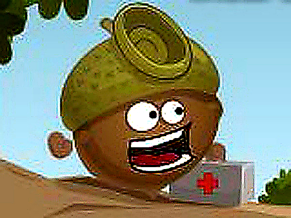 Acorn Healer 2 Bird Puzzle