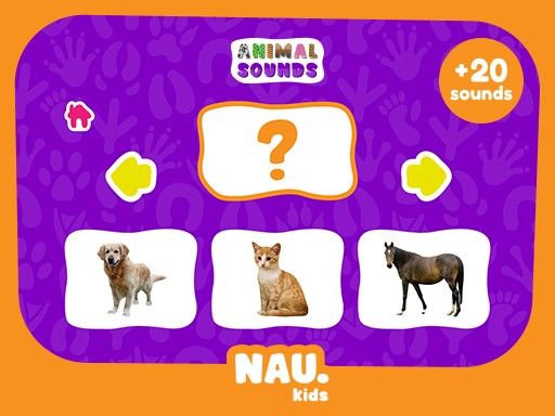 Animal Sounds Discovery for Kids