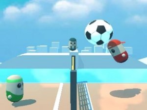Pin Voleyballs Online Game