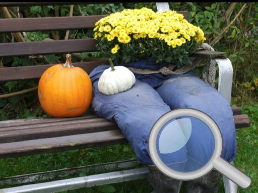 Autumn Garden Butterfly Search