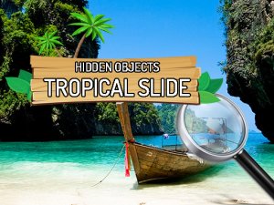 Hidden Objects Tropical Slide Online Game
