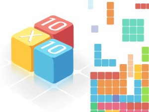 10x10 Fill the Grid Puzzle Game