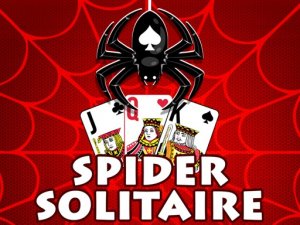 The Spider Solitaire Online Game