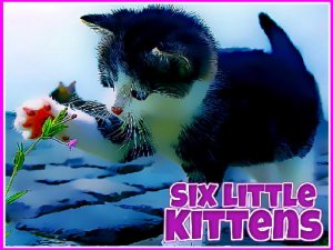 Six Little Kittens Jigsaw Puzzle Game Online