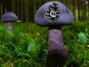Mushroom Forest Adventure Puzzle Game
