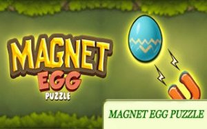 Magnetic Path Puzzle