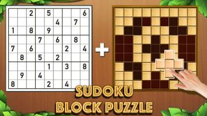 Number Logic Block Puzzle